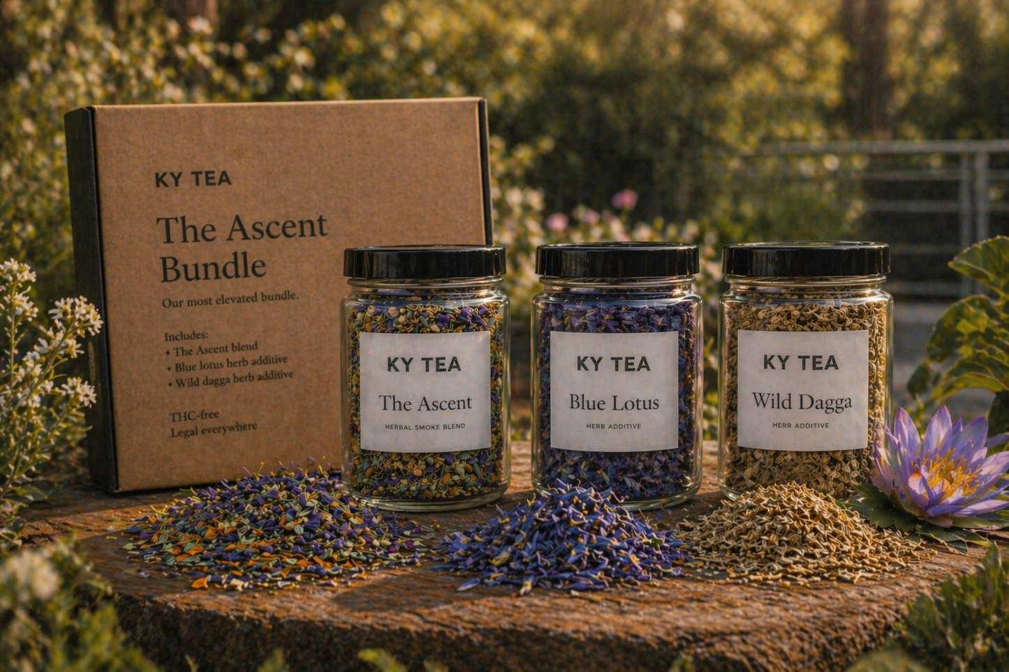 The Ascent Experience bundle — The Ascent blend with blue lotus and wild dagga herb additives
