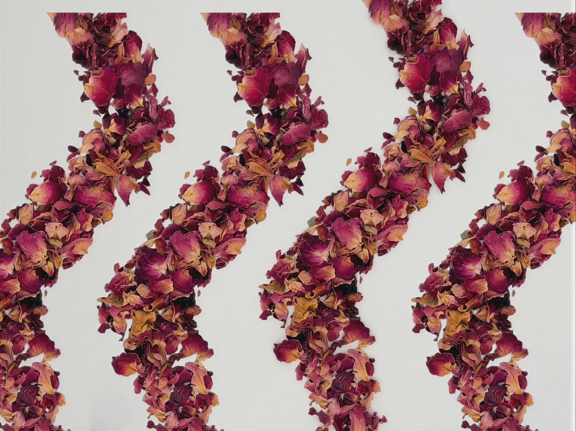 Rose Petals smokable herb product video — Ky Tea
